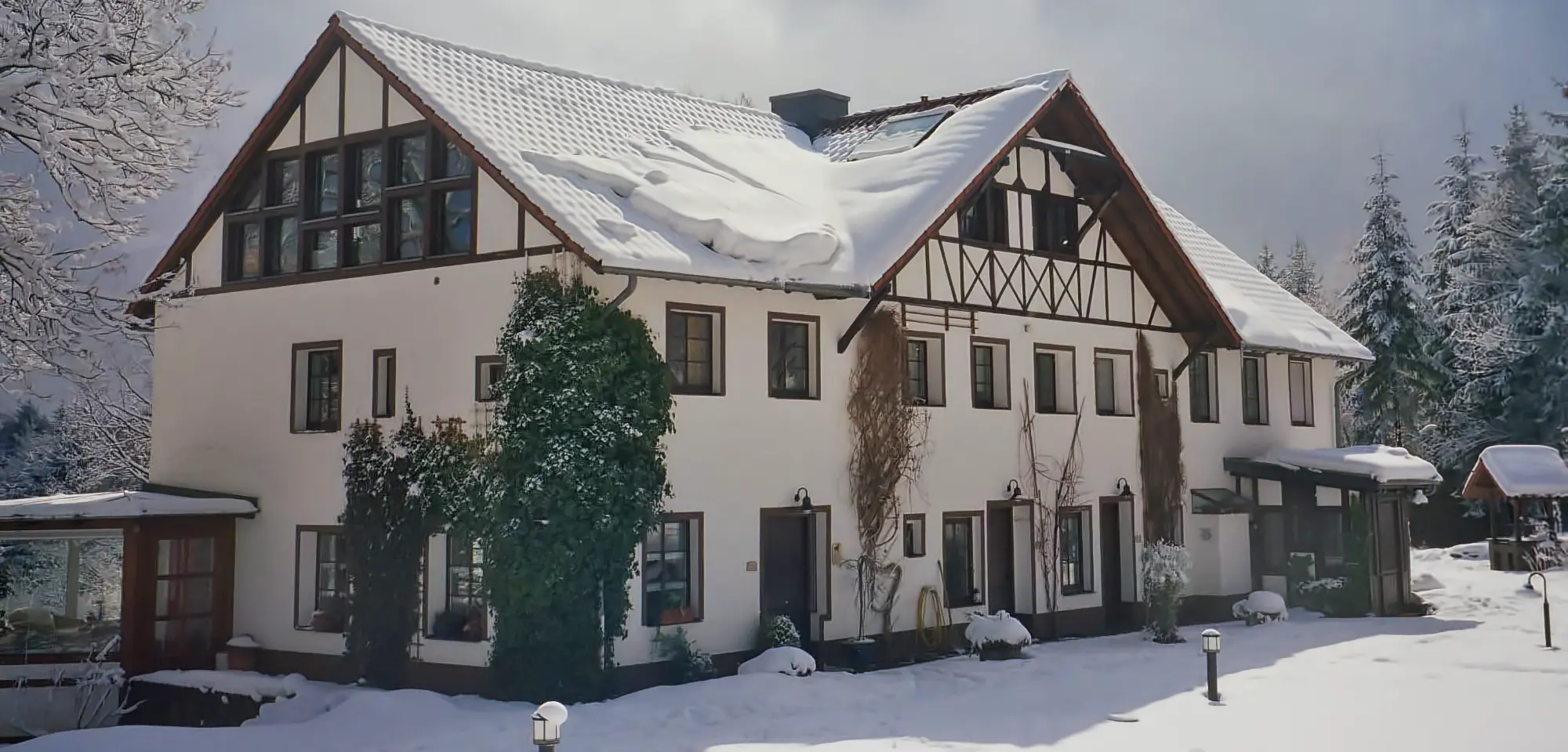 Winter in der Eifel 1994